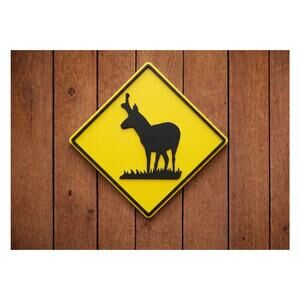 Pronghorn Antelope Crossing Road Sign National Park Forest Wyoming Deer Warning